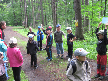 2AZalesnimistrasidylky (14)